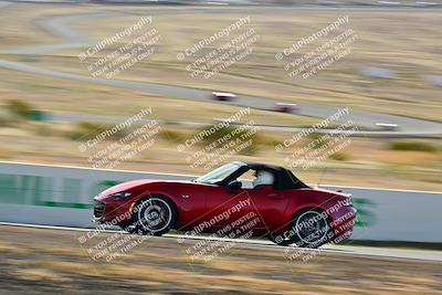 media/Mar-22-2025-West Coast Racing (Sat) [[0d49b412c8]]/Yellow Group/Session 1 (Turn 4-Exterior)/